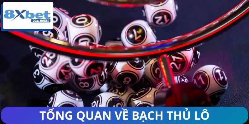 Khái quát nhanh thông tin về bạch thủ lô