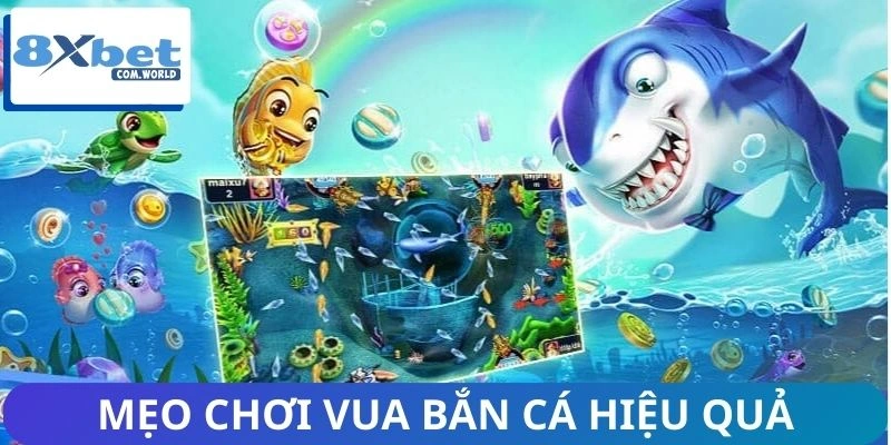 Vua Bắn Cá - Nâng Cao Kỹ Năng, Tối Ưu Hóa Chiến Lược 3 Kinh nghiệm chinh phục hình thức vua săn cá
