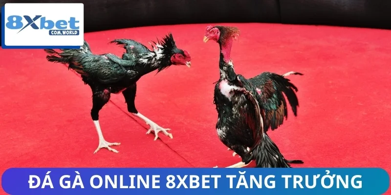 Thị Trường Đá Gà Online Và Sự Tăng Trưởng Của 8XBET 3 Thương hiệu 8XBET có tốc độ tăng trưởng mạnh