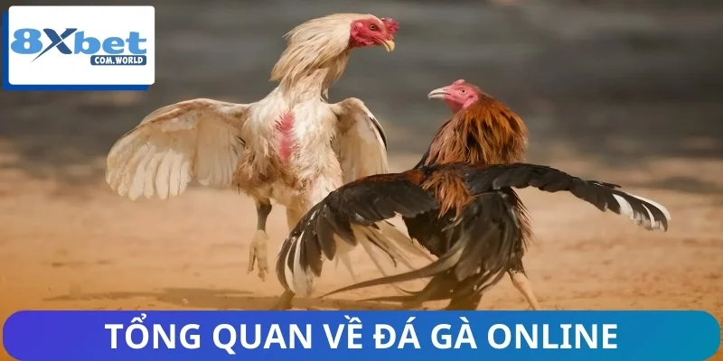 Thị Trường Đá Gà Online Và Sự Tăng Trưởng Của 8XBET 1 Sơ lược về thị trường đá gà online ngày nay