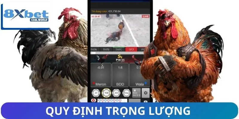 Luật Thi Đấu Đá Gà 8XBET - Update Những Thay Đổi Mới Nhất 2 Chi tiết quy định về trọng lượng và bảng đấu