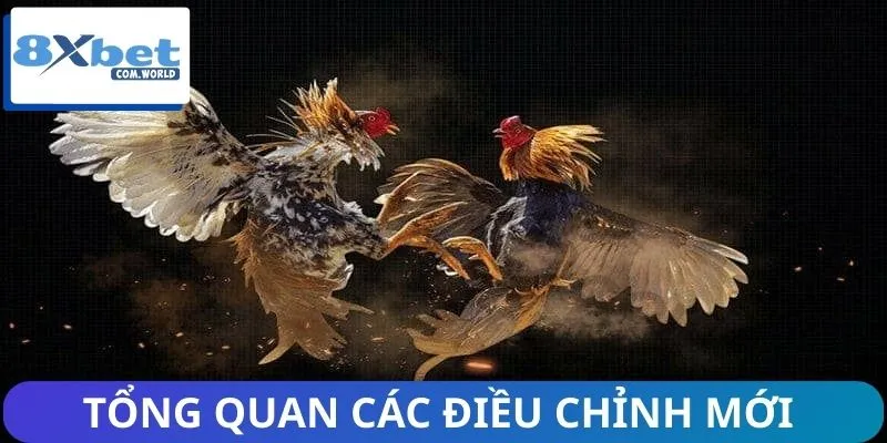 Luật Thi Đấu Đá Gà 8XBET - Update Những Thay Đổi Mới Nhất 1 Đôi nét về luật thi đấu đá gà mới nhất