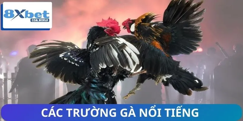 Phát Sóng Trực Tiếp Đá Gà - Đủ Sảnh C1 Đến C6 Siêu Nóng 3 Khám phá các trường gà danh giá nhất