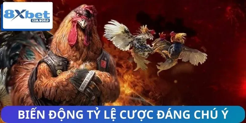 Tổng Hợp Tin Nổi Bật Nhất Về Đá Gà 8XBET – Cập Nhật Nóng Hổi 3 Cập nhật tin nổi bật nhất về đá gà với biến động tỷ lệ cược